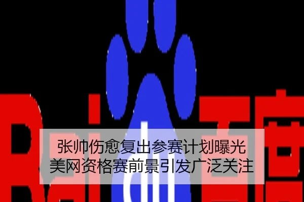 张帅伤愈复出参赛计划曝光 美网资格赛前景引发广泛关注
